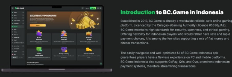 Exploring the Excitement of Bc Game Forum